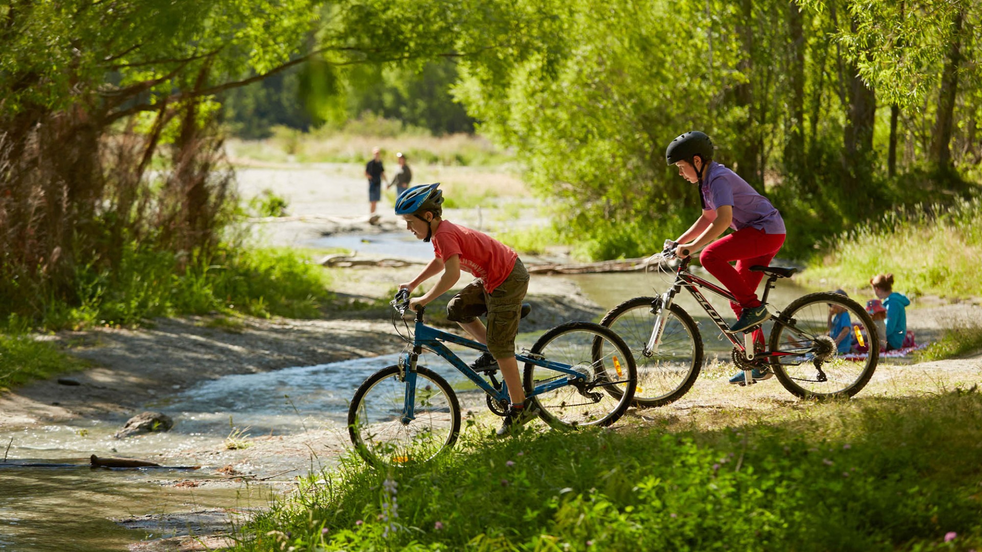 Cycling near the Arrow River