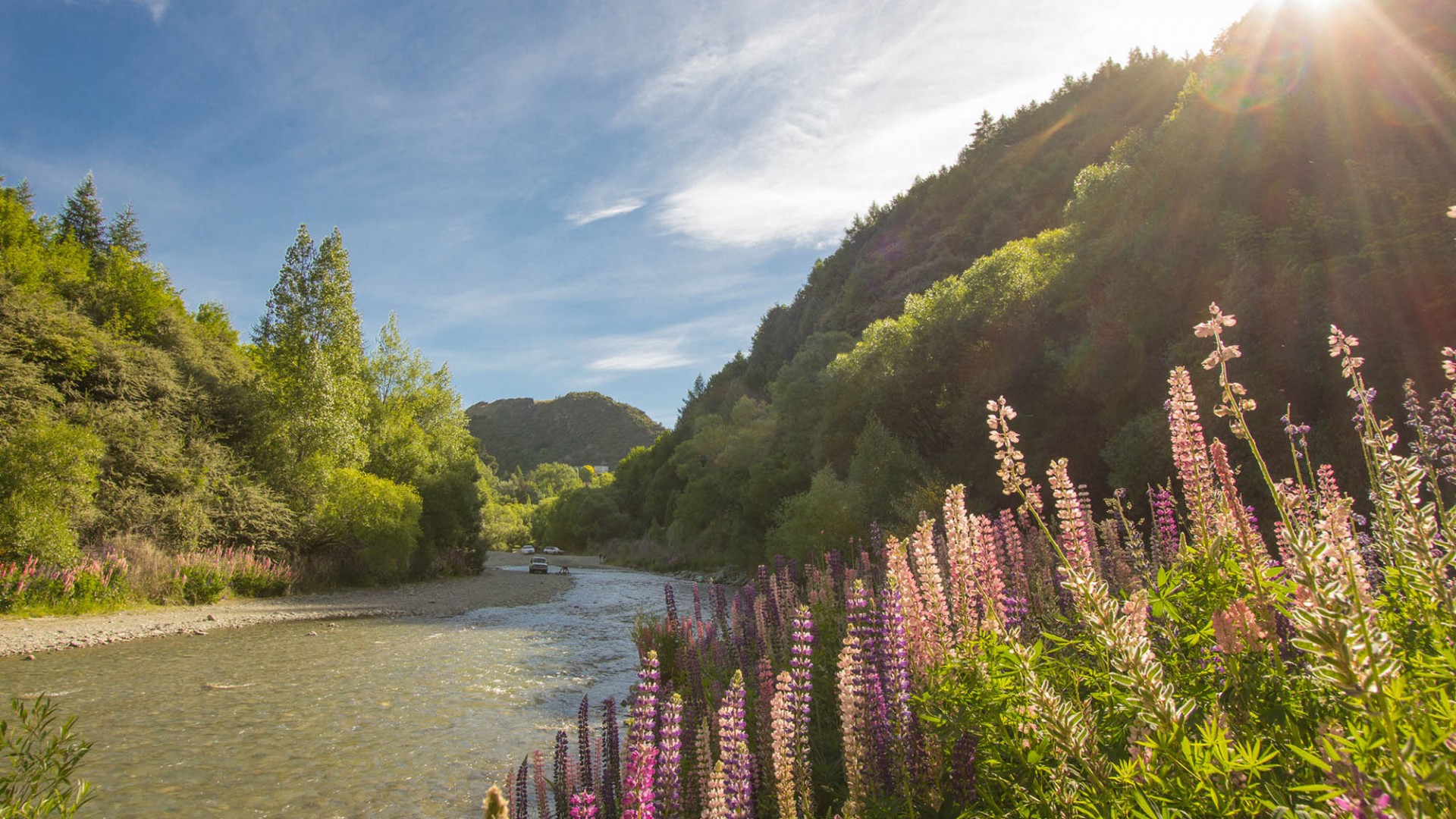 Arrow River in Summer