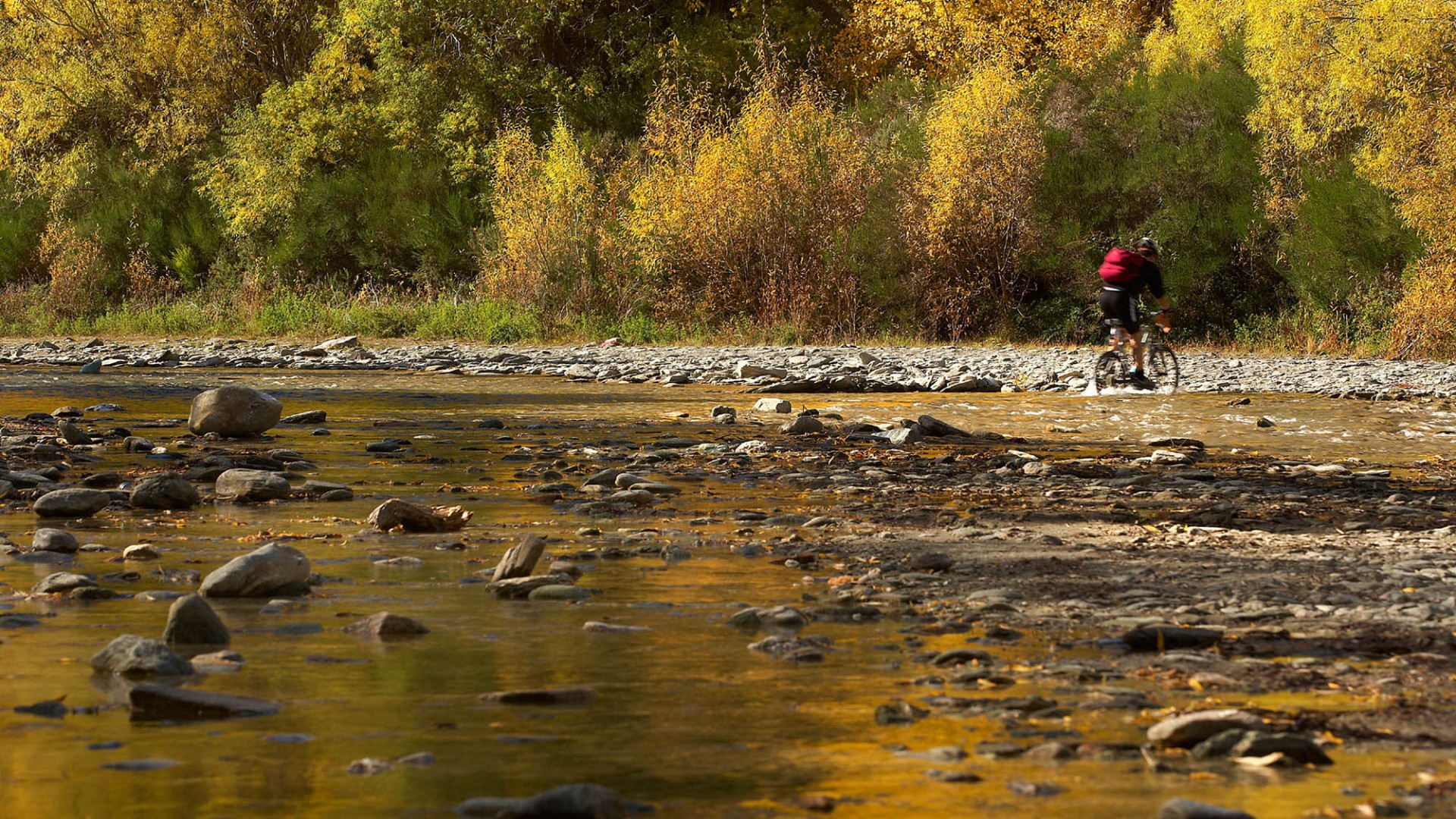 Biking on the Arrow River