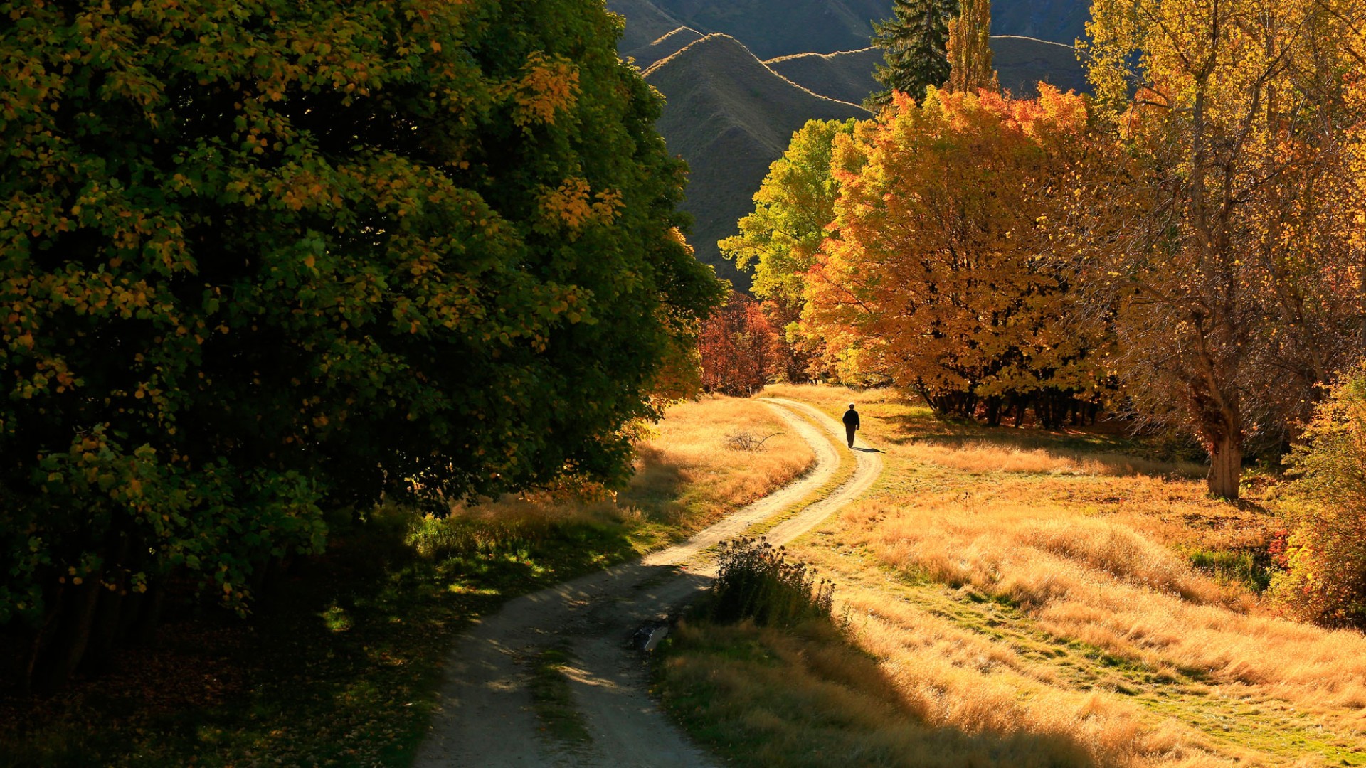 Macetown in Autumn