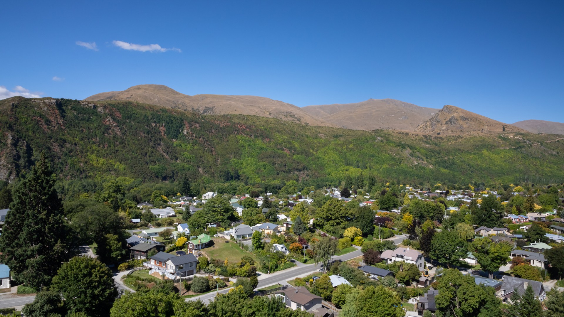 Feehly Hill, Arrowtown