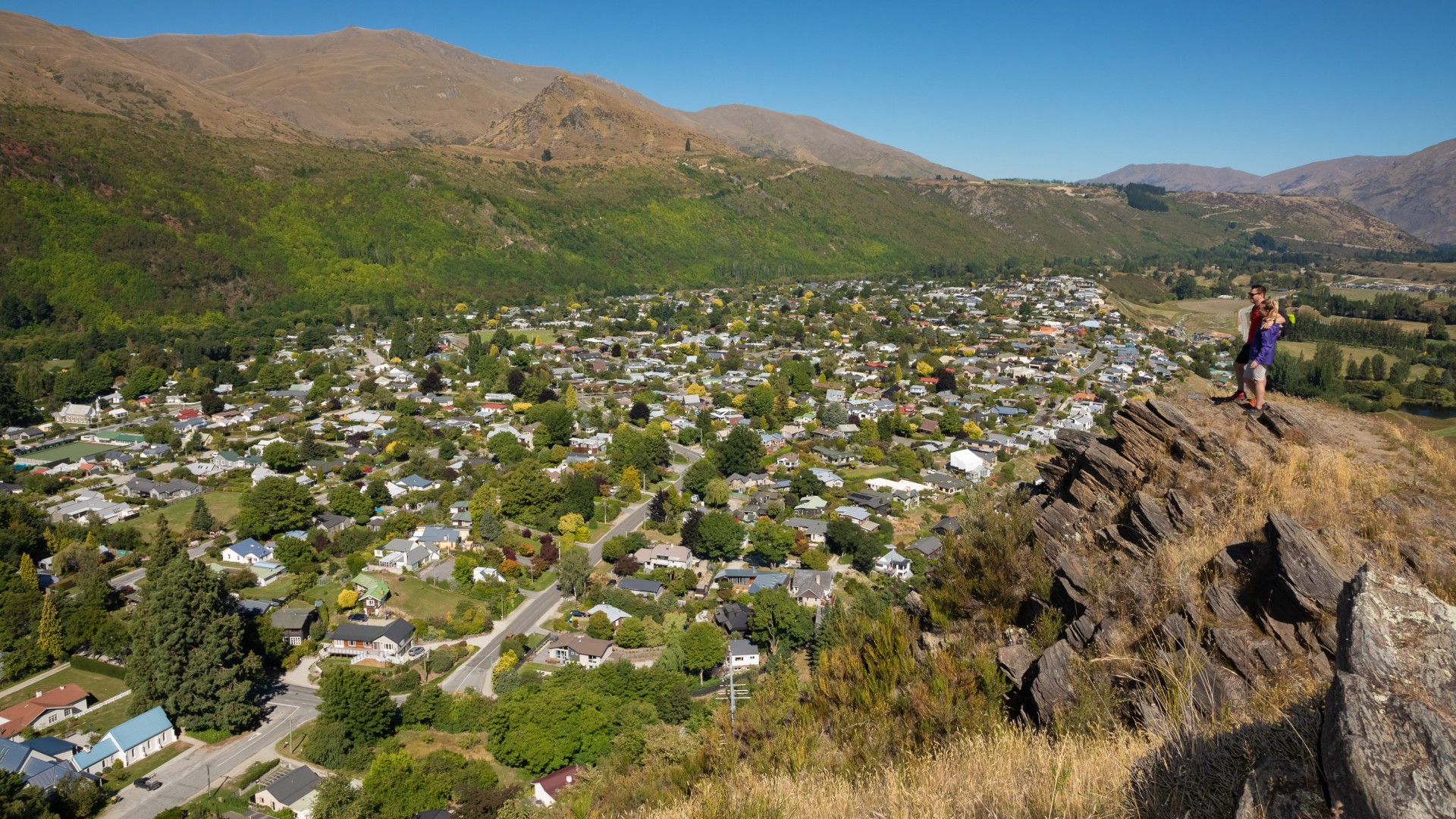 Arrowtown in Summer from Feehly Hill