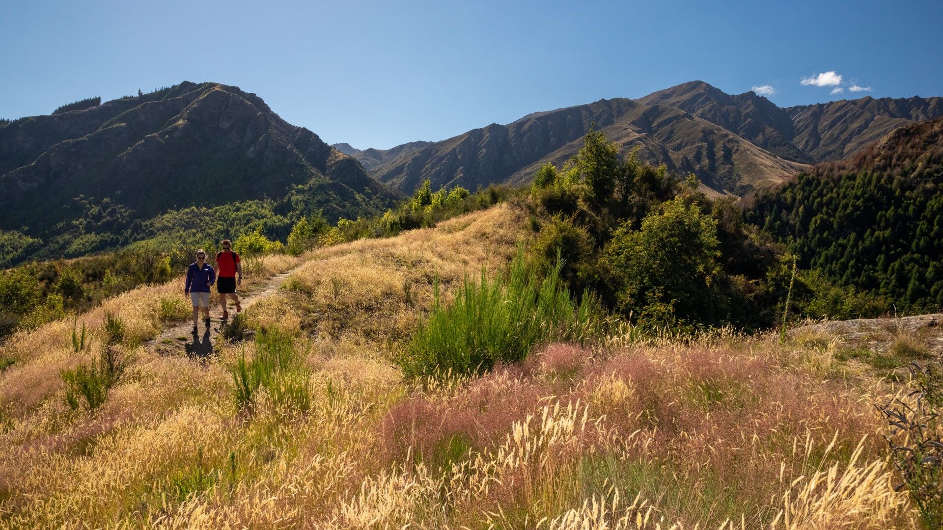 Hill walk above Arrowtown