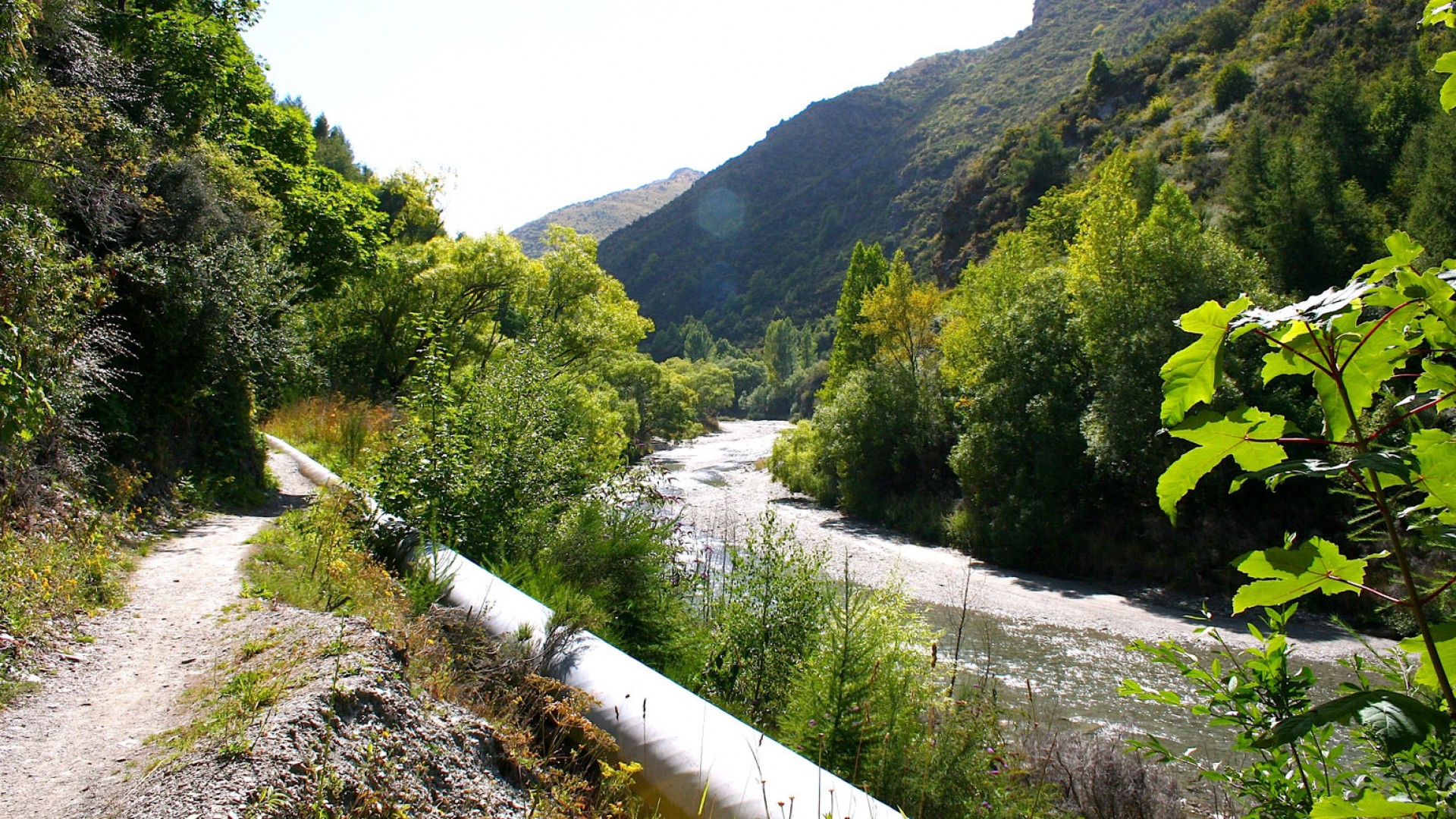 Views to the river below on the Arrow River Track