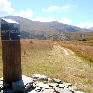 At the top on Eichardts Flat