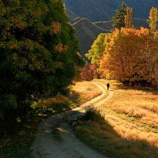 Macetown in Autumn