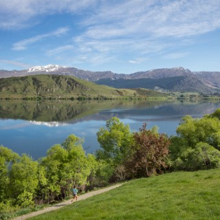 Lake Hayes in Summer