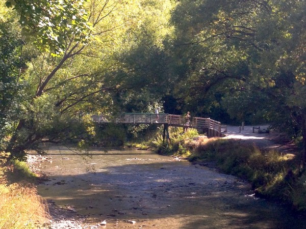 First bridge with people