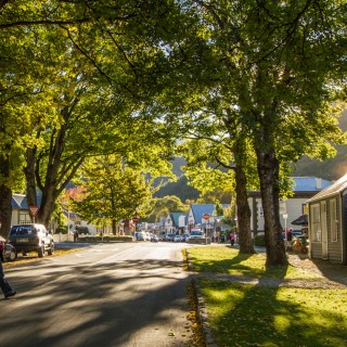 Buckingham St, Arrowtown