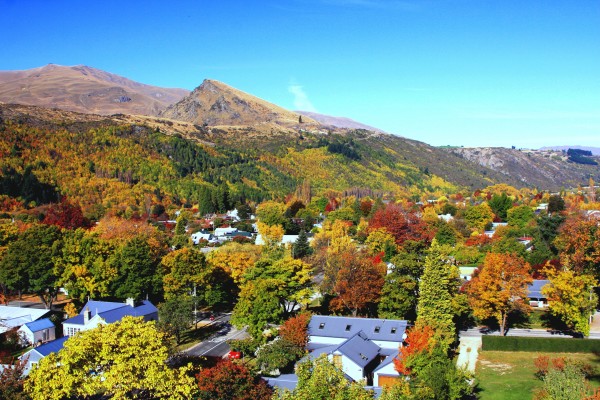 AP 129 Arrowtown Village in Autumn LDM 