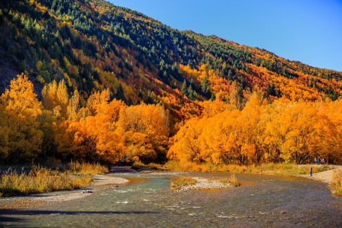 LN60 River of Colours in Arrowtown Timothy Shoultz lowr res3