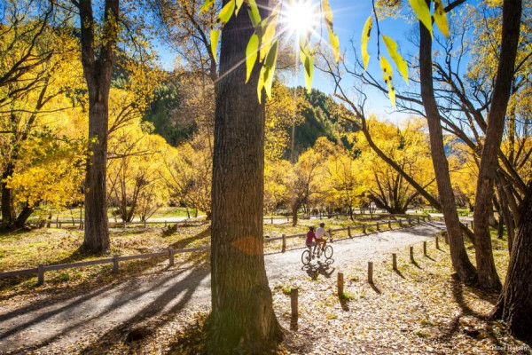 Queenstown Trails Arrow River3