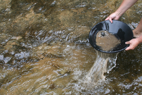 gold panning in arrowtown